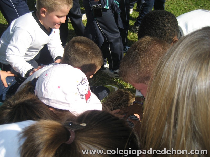 Convivencia 201000028