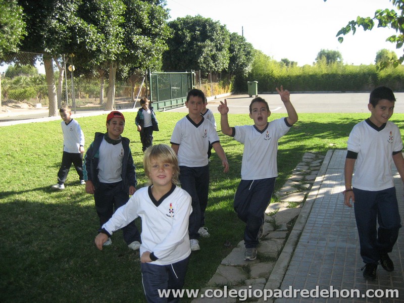 Convivencia 201000035