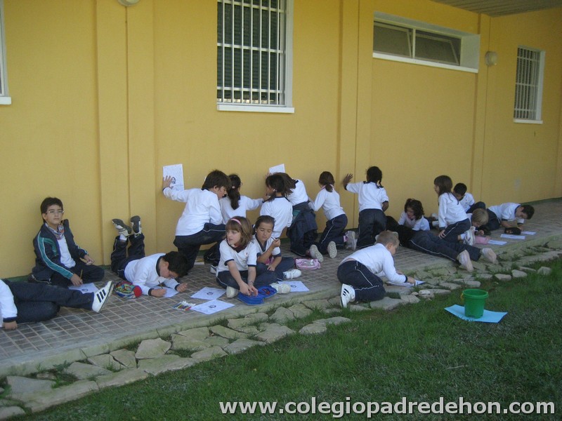 Convivencia 201000045