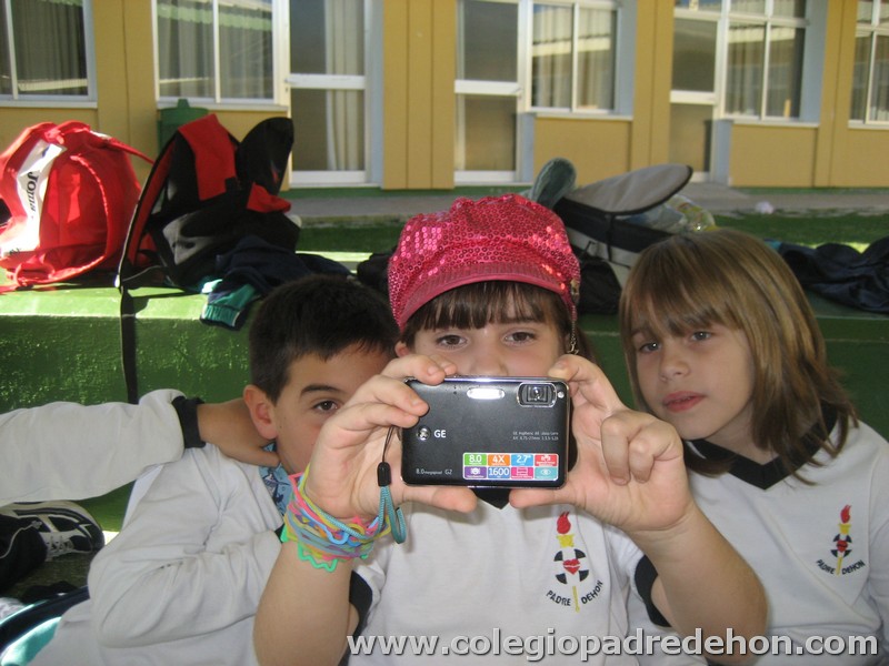 Convivencia 201000055