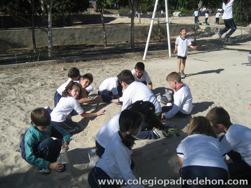 Convivencia 201000073