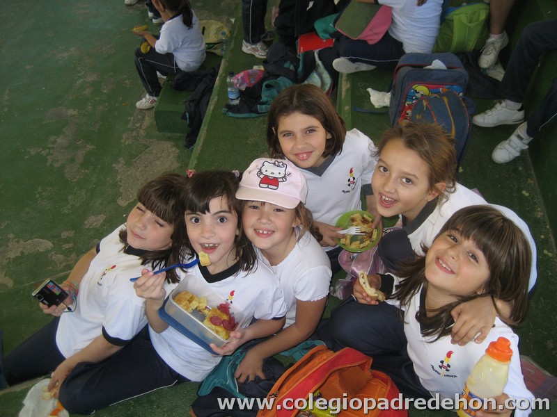 Convivencia 201000079