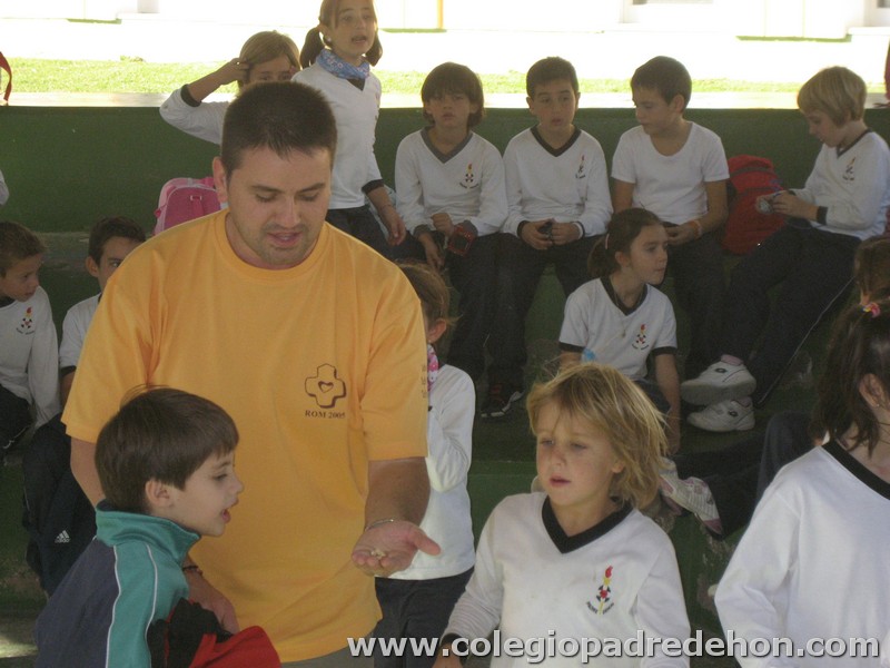 Convivencia 201000091