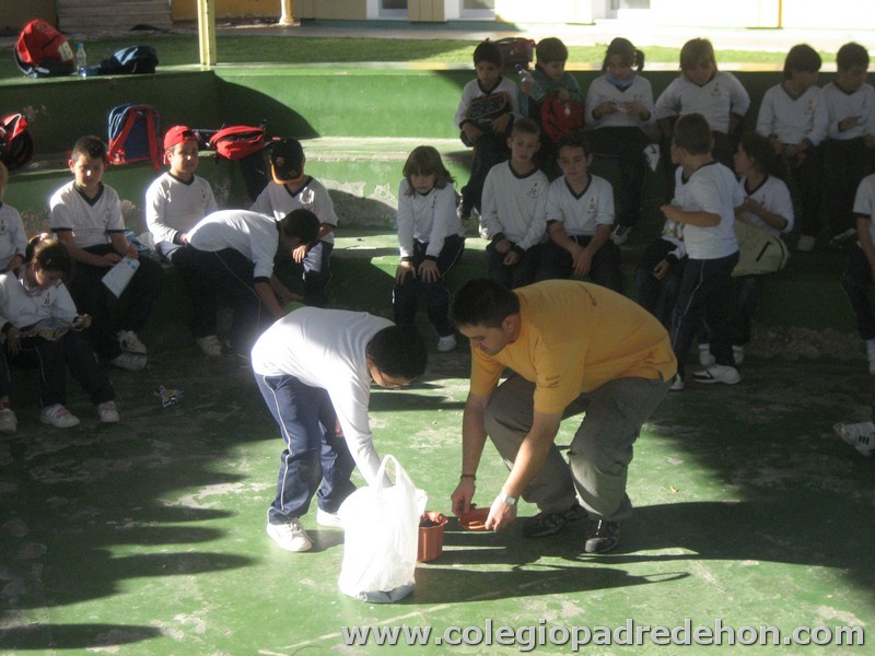 Convivencia 201000095