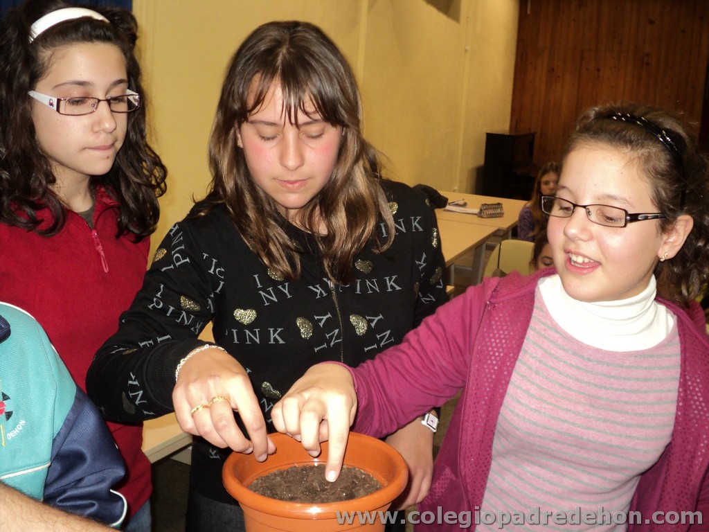 Conv 6pri 2011 00025