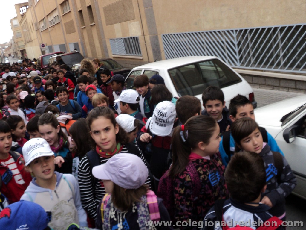 Marcha solidaria 201100004