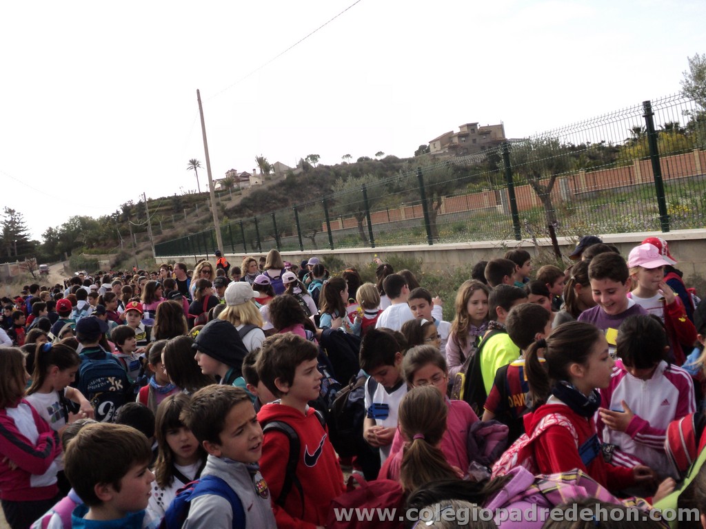 Marcha solidaria 201100008