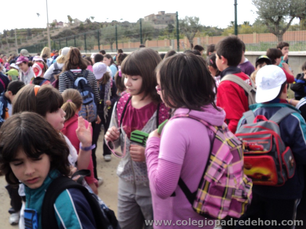 Marcha solidaria 201100009