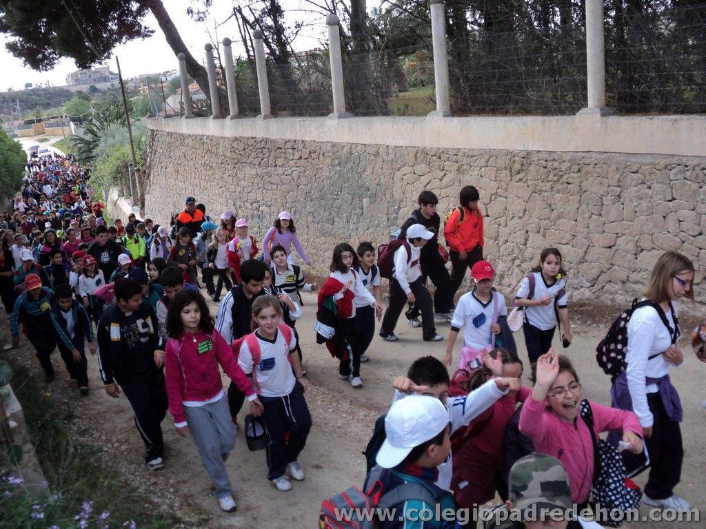 Marcha solidaria 201100012