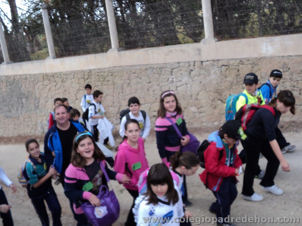 Marcha solidaria 201100014