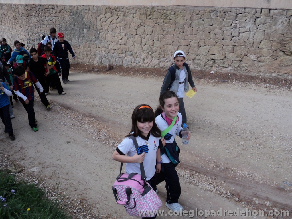 Marcha solidaria 201100016