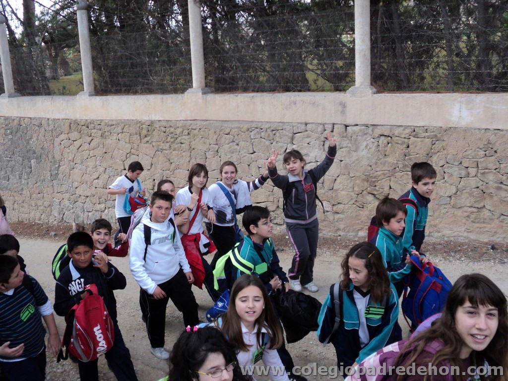 Marcha solidaria 201100018