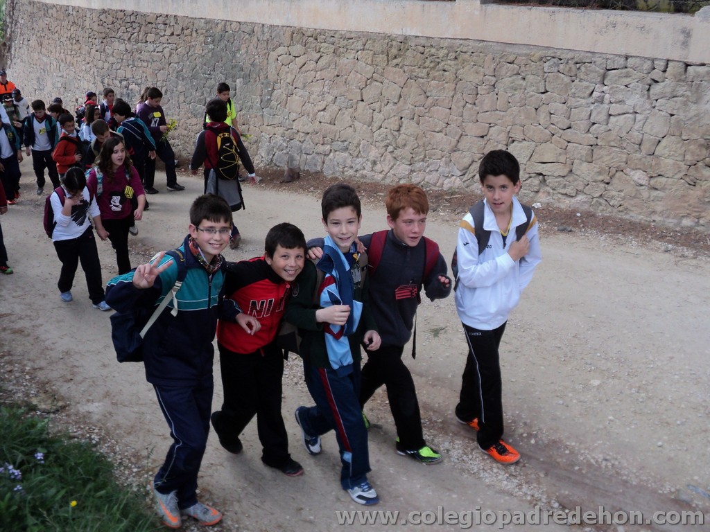 Marcha solidaria 201100020