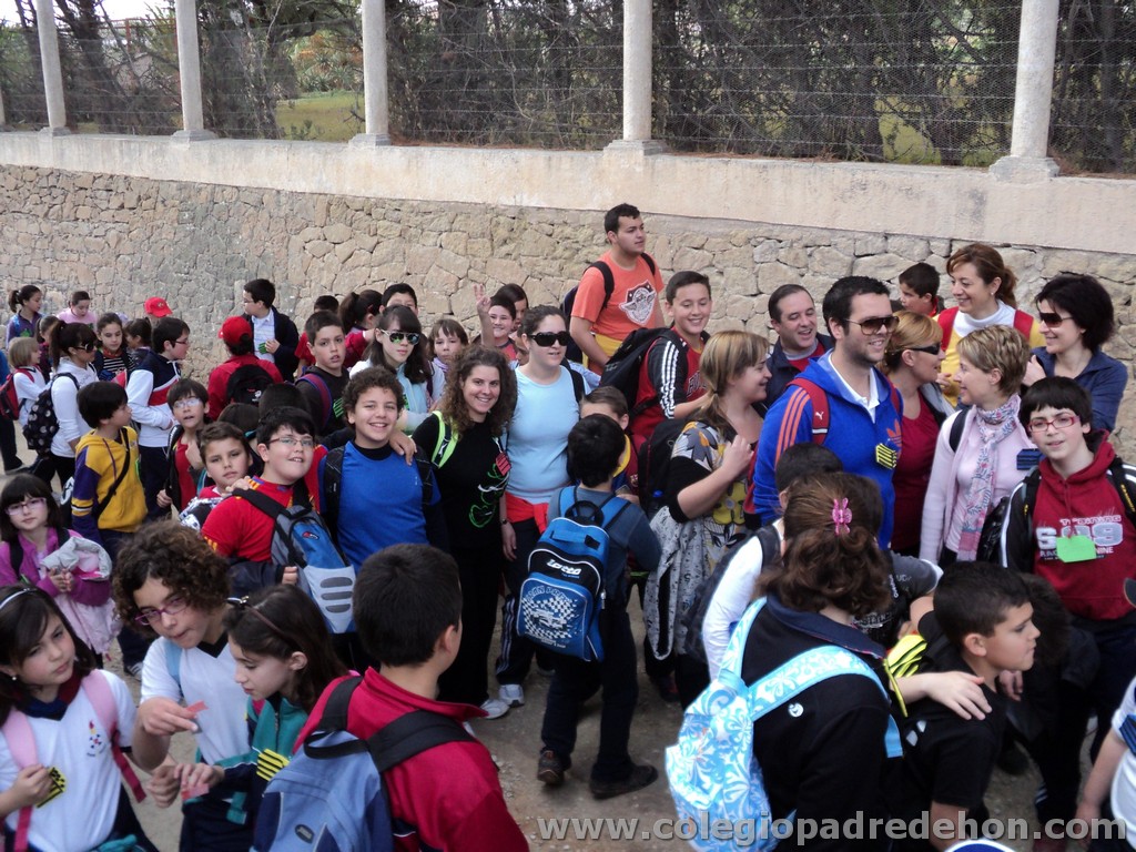 Marcha solidaria 201100023