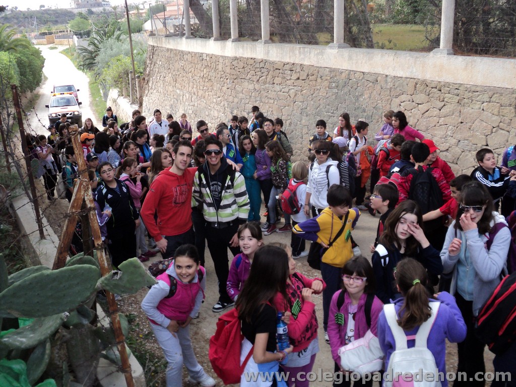 Marcha solidaria 201100025