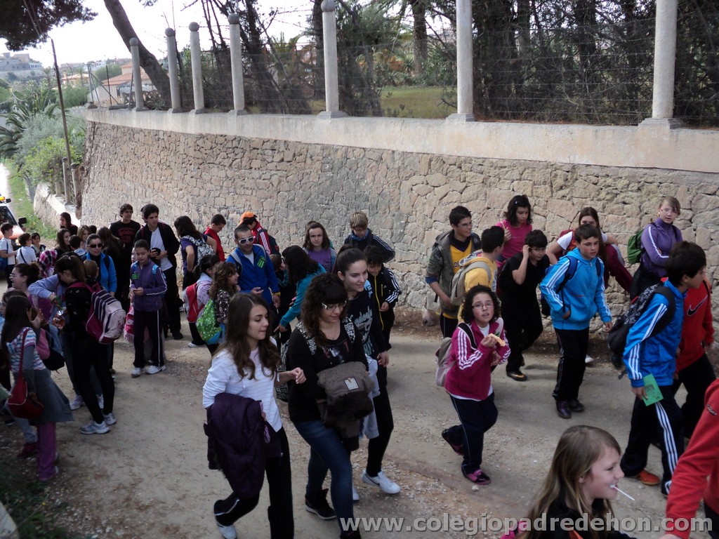 Marcha solidaria 201100028