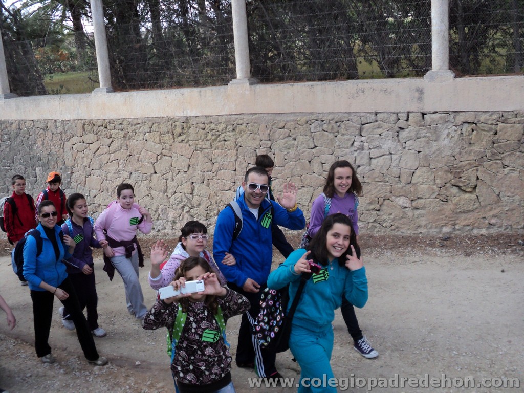 Marcha solidaria 201100029