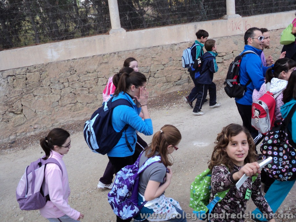 Marcha solidaria 201100030