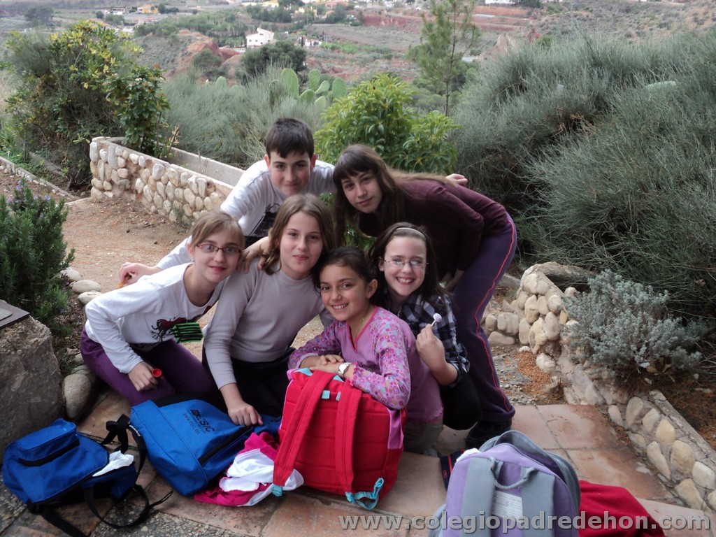 Marcha solidaria 201100048