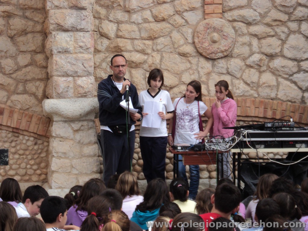 Marcha solidaria 201100074