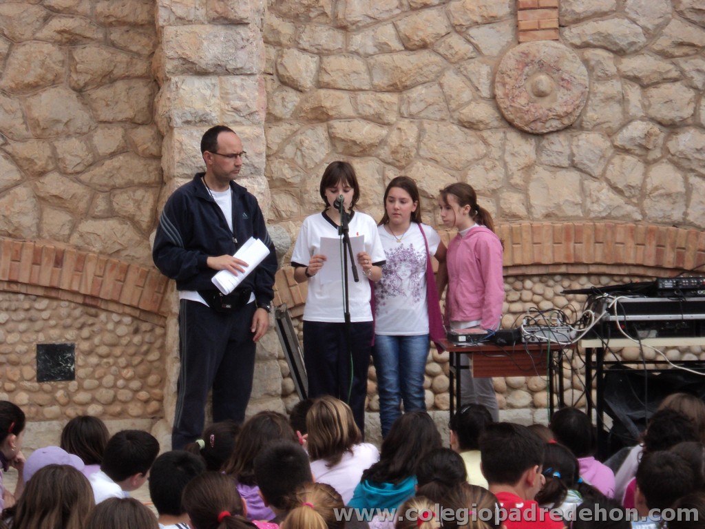 Marcha solidaria 201100075