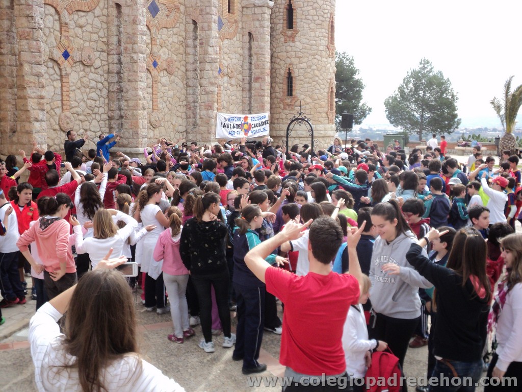 Marcha solidaria 201100092