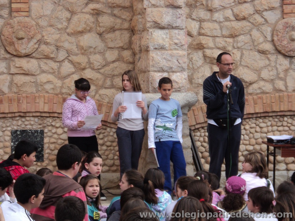 Marcha solidaria 201100094