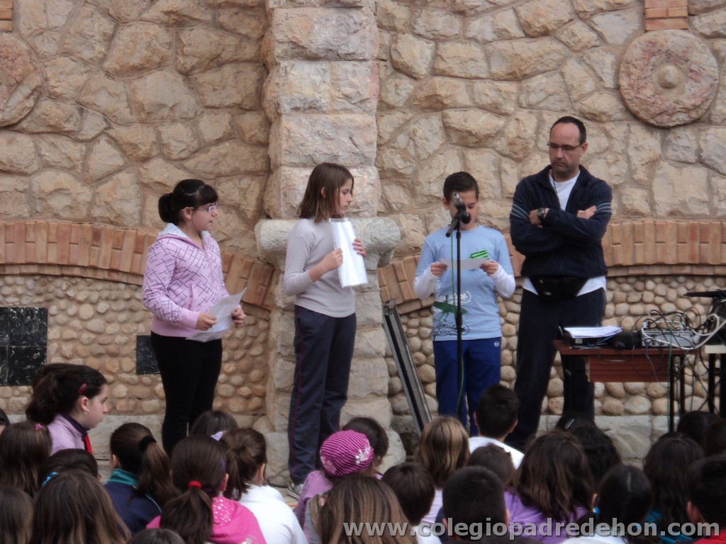 Marcha solidaria 201100095