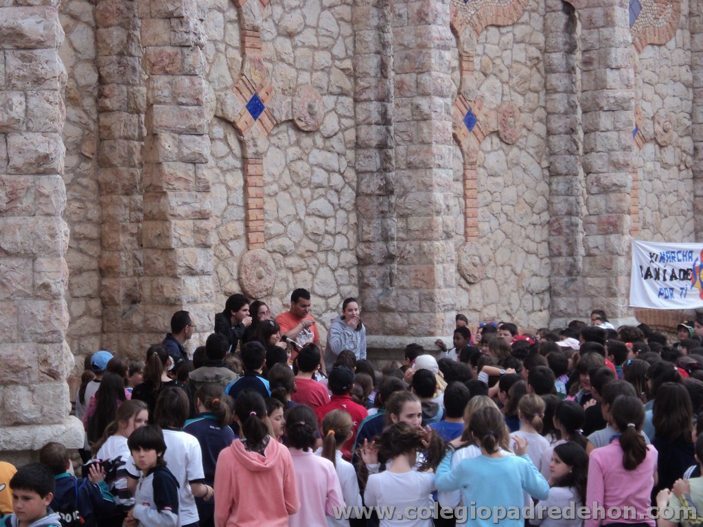 Marcha solidaria 201100102