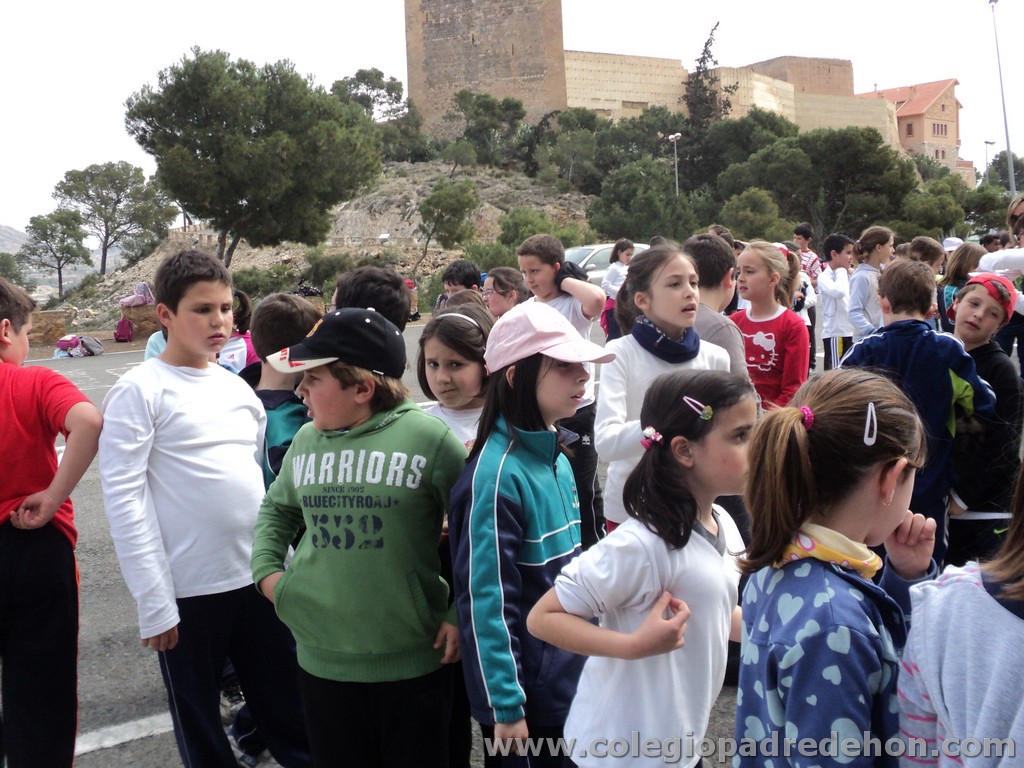 Marcha solidaria 201100115