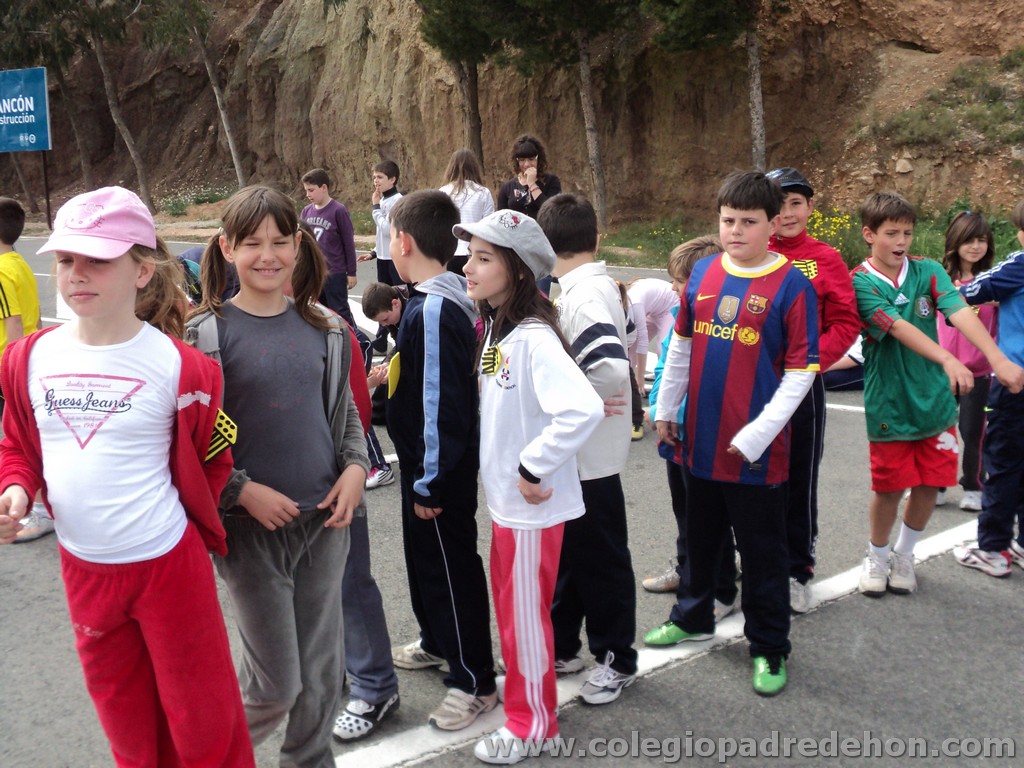 Marcha solidaria 201100118