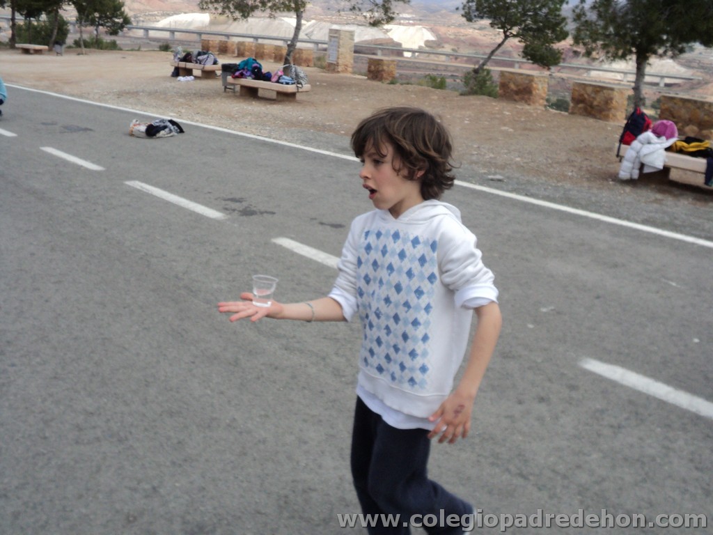 Marcha solidaria 201100132