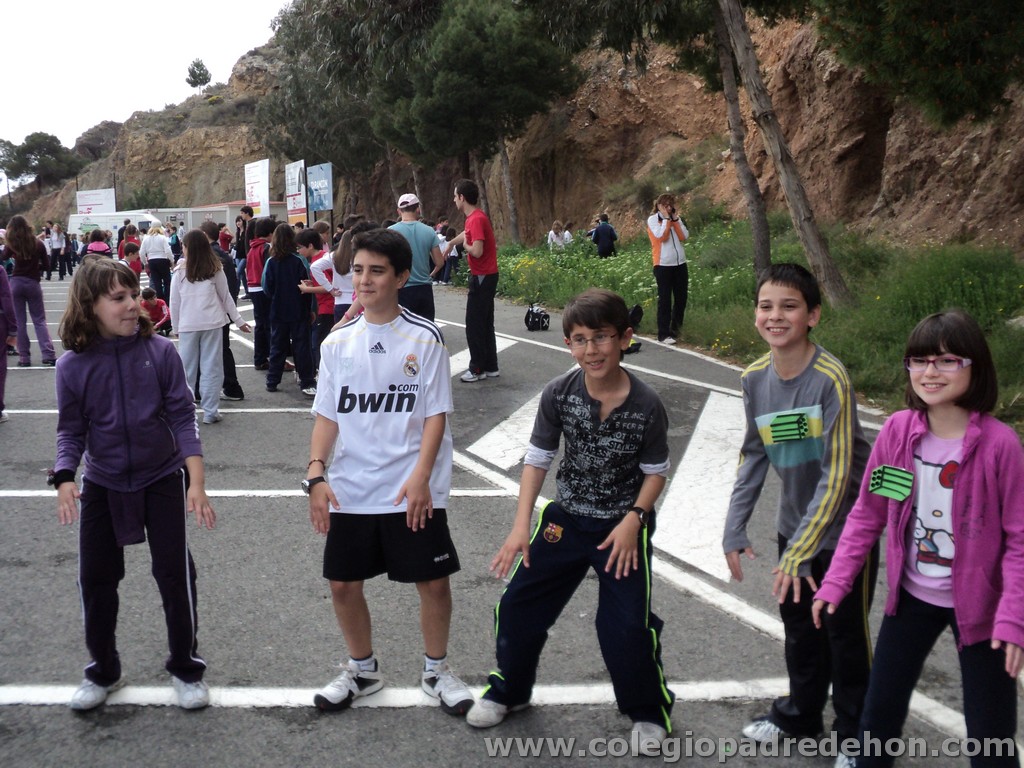 Marcha solidaria 201100151