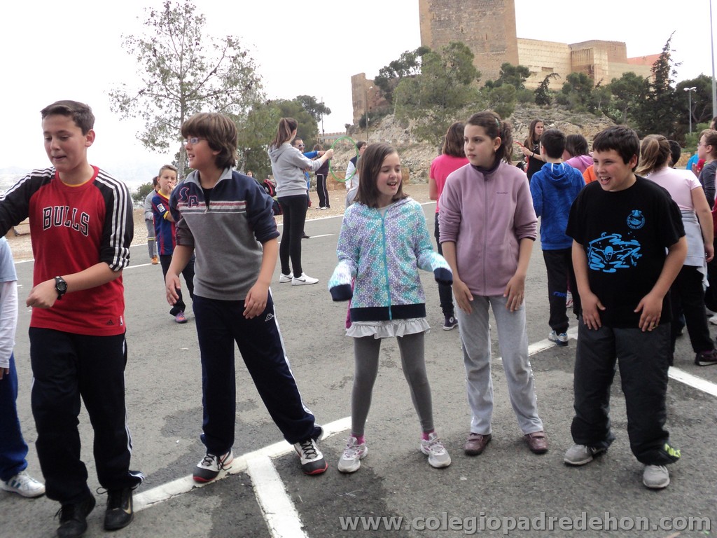 Marcha solidaria 201100152