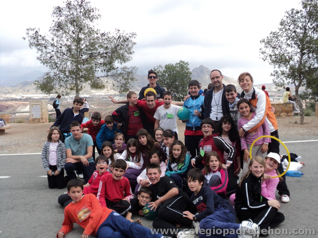 Marcha solidaria 201100162