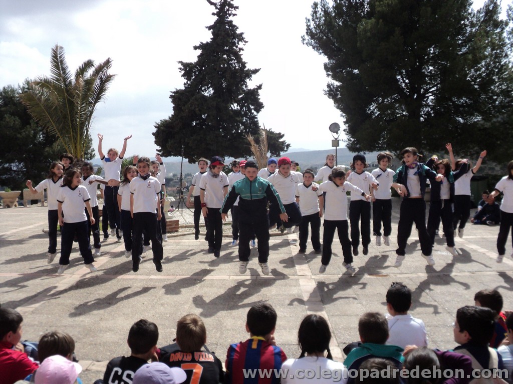Marcha solidaria 201100164