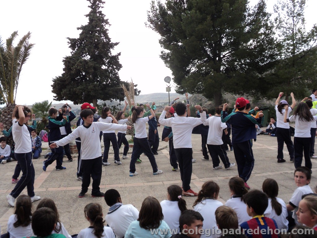 Marcha solidaria 201100166