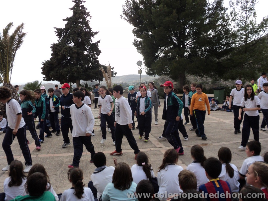 Marcha solidaria 201100167