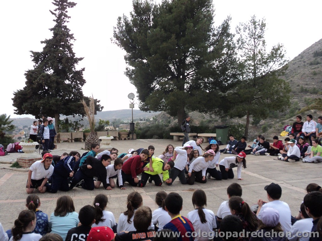 Marcha solidaria 201100168