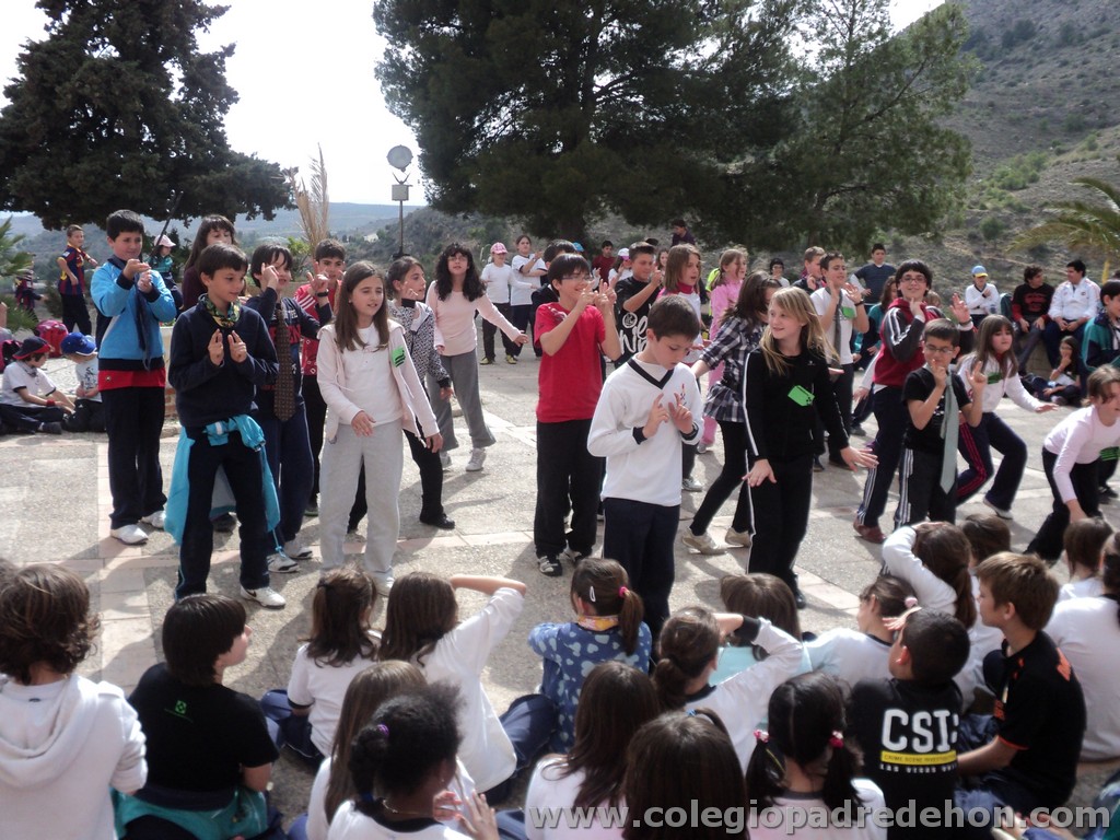 Marcha solidaria 201100171