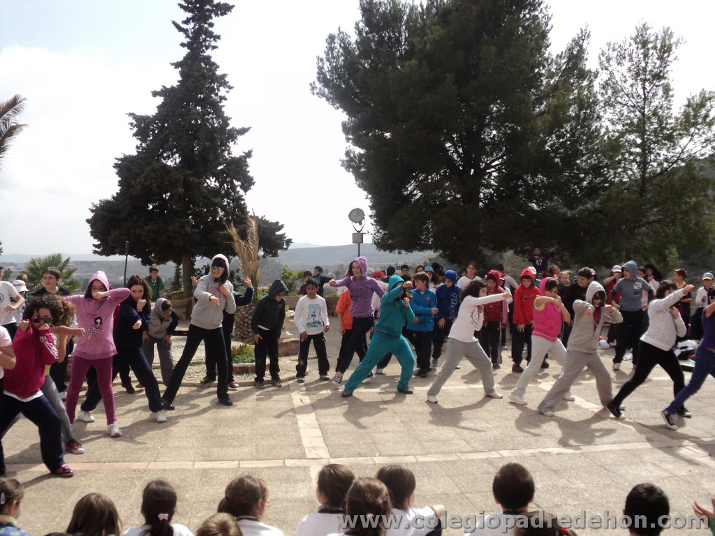 Marcha solidaria 201100172