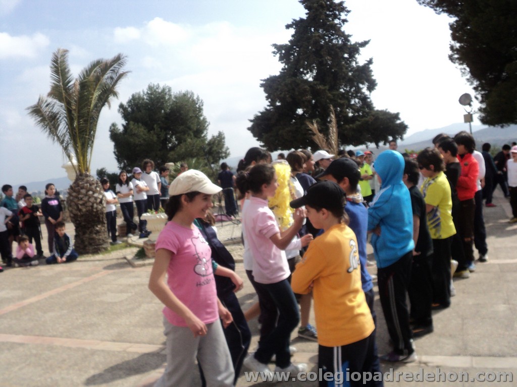 Marcha solidaria 201100177