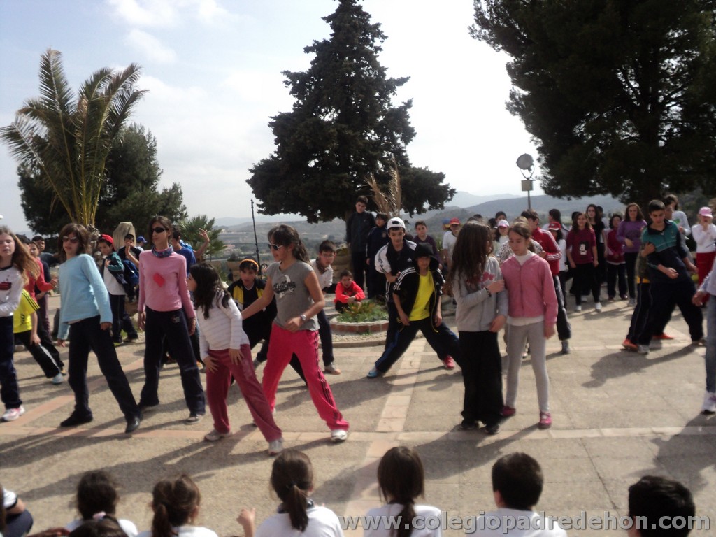 Marcha solidaria 201100181