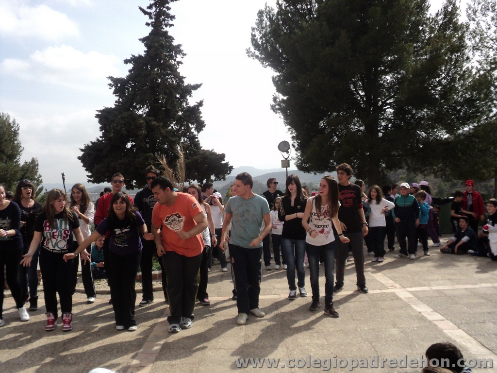 Marcha solidaria 201100182