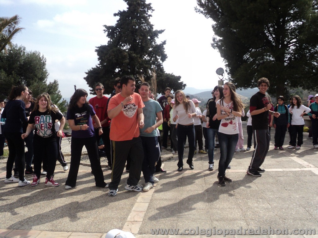 Marcha solidaria 201100183