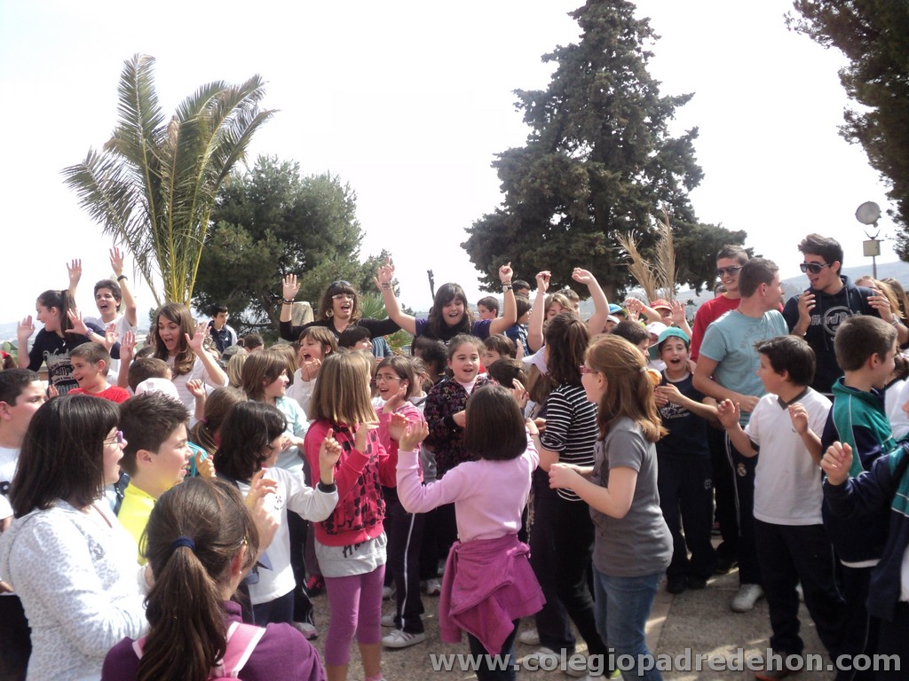 Marcha solidaria 201100184