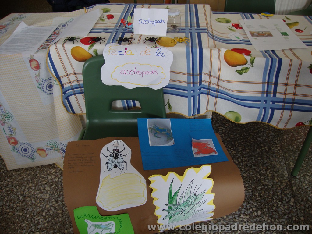 Feria animales 201100003