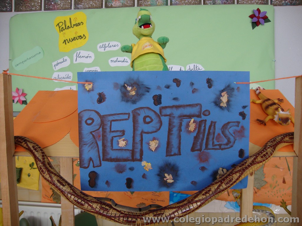 Feria animales 201100004