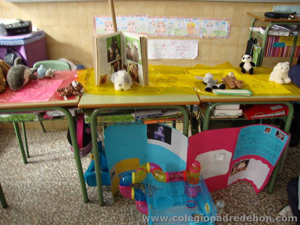 Feria animales 201100011