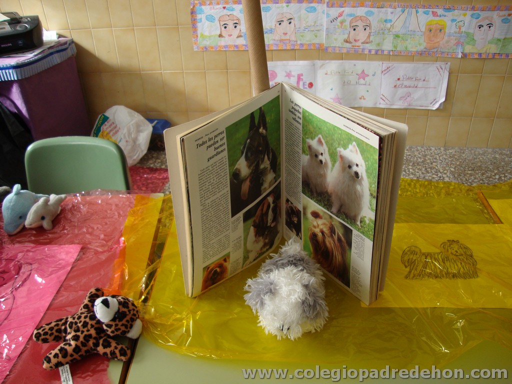 Feria animales 201100012